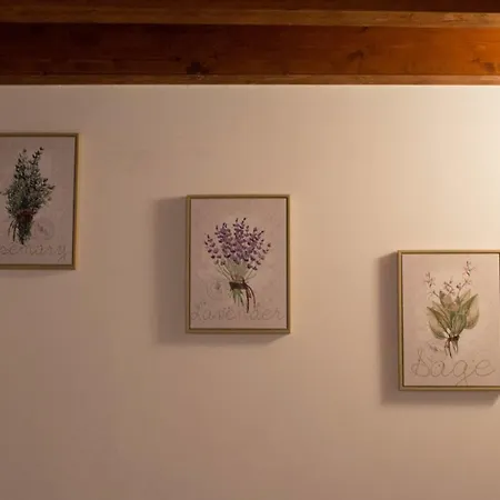 La Casa Di Balu' Hébergement de vacances *